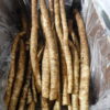 Burdock Root Chinese Medicine Vegetable