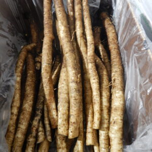 Burdock Root Chinese Medicine Vegetable