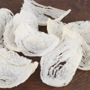 Edible Bird’s Nest Benefits Guide